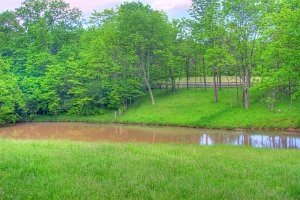 Scenic view